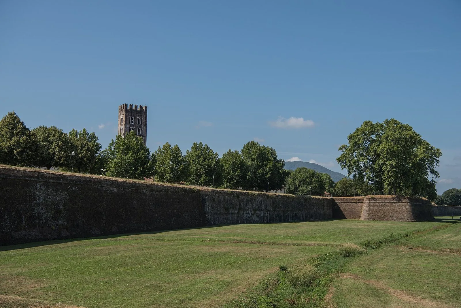 Le mura di Lucca con i baluardi in mattoni, il prato del fossato e il campanile di San Frediano che spunta tra gli alberi