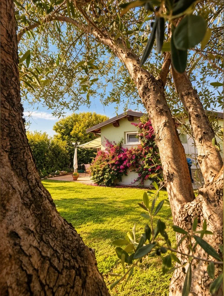 Villa Sya,